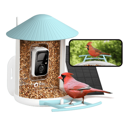 Bird feeder with camera and bird seeds, featuring a red cardinal on a screen.