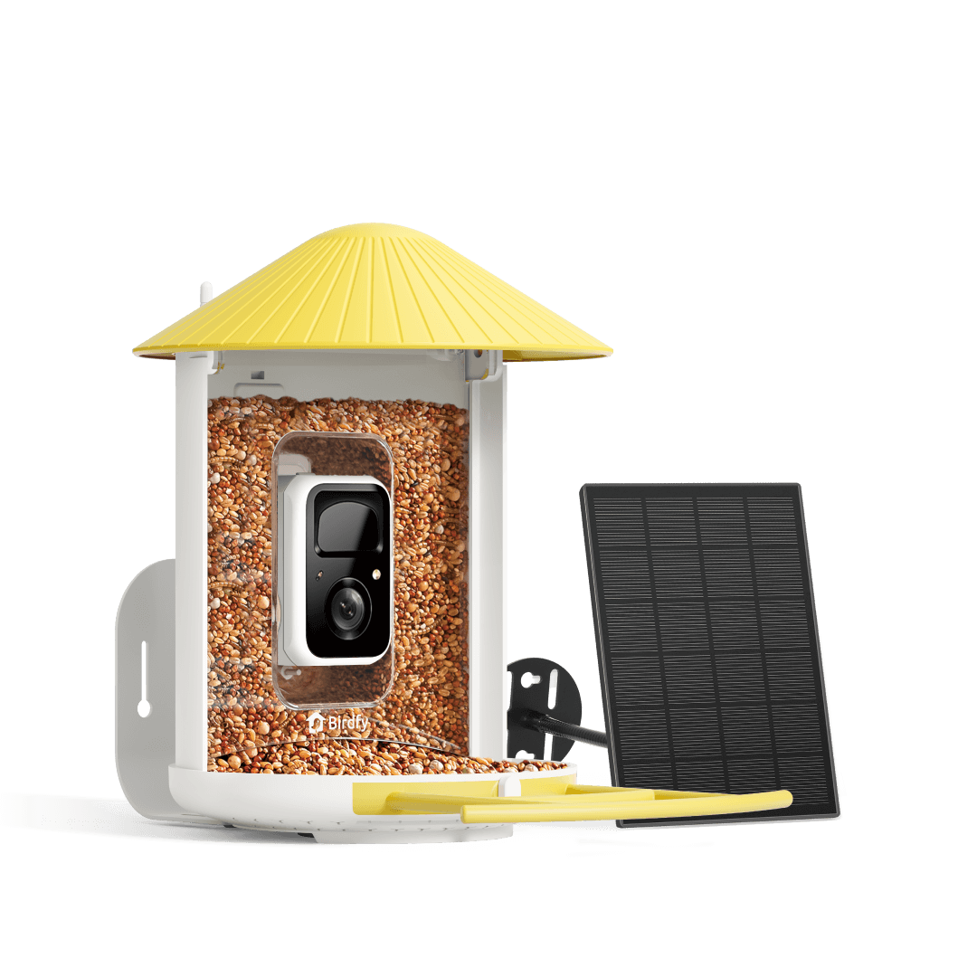 Birdfy Feeder with Solar Panel - Solar-Powered Smart Bird Feeder with Camera - Image 12