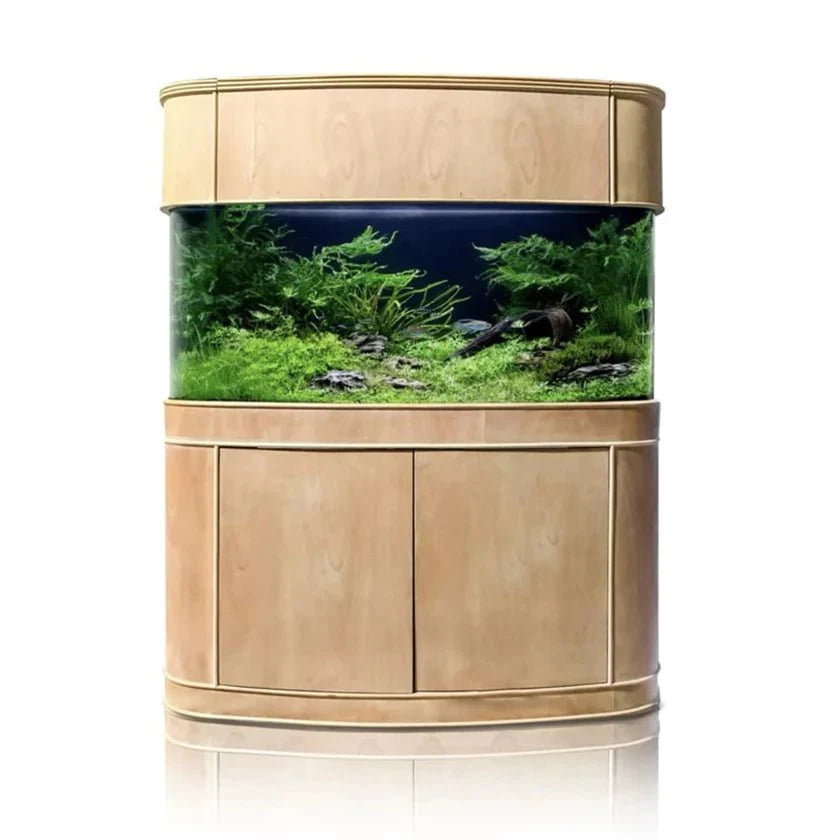 Wooden aquarium with a natural landscape design on a white background