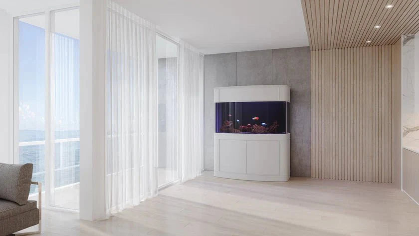 Modern living room with a large aquarium and large windows.