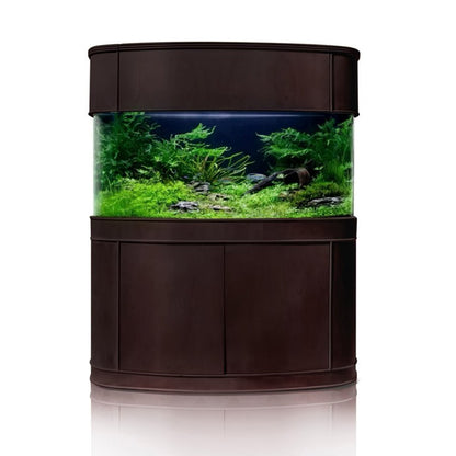 Glass Bowfront