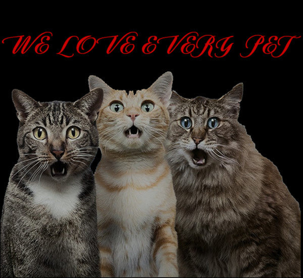 Three cats with a black background and red text 'WE LOVE EVERY PET'.