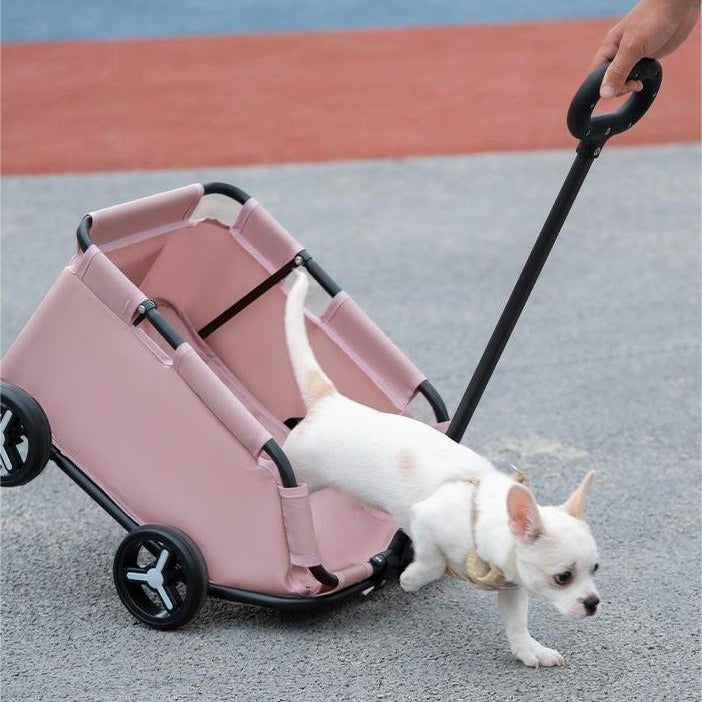 Pink pet stroller with a small white dog being pushed on a pavement.