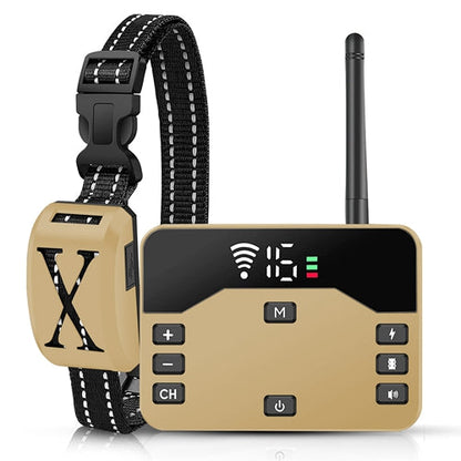 Dog collar with electronic device on a white background