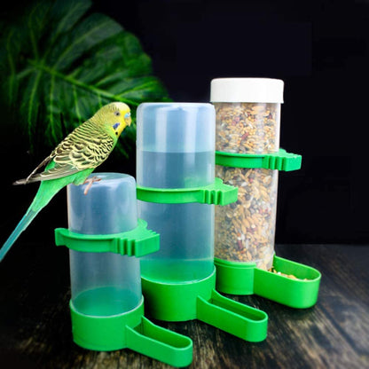 Bird Feeder