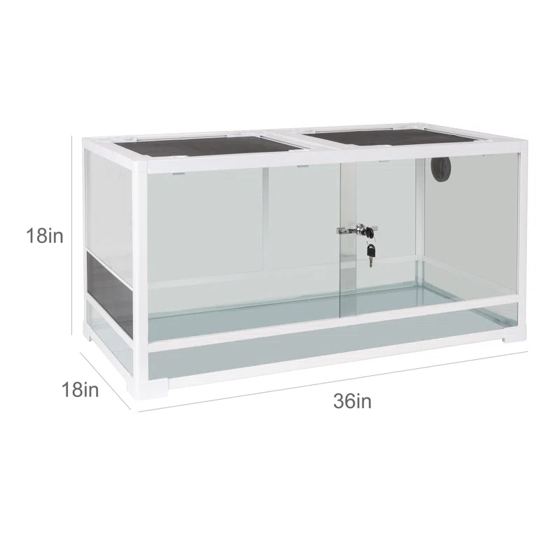 White display case with dimensions labeled on a white background