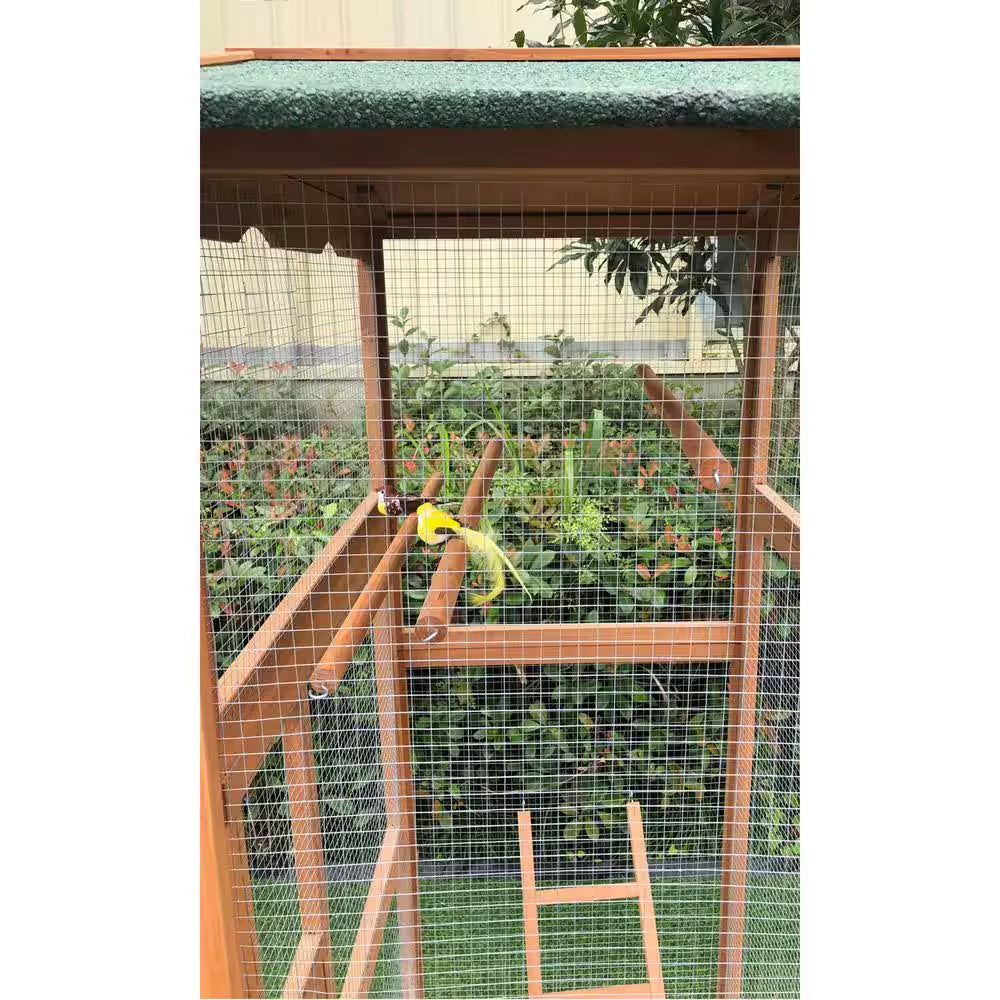 Birdcage with a green roof and wooden ladder against a blurred garden background