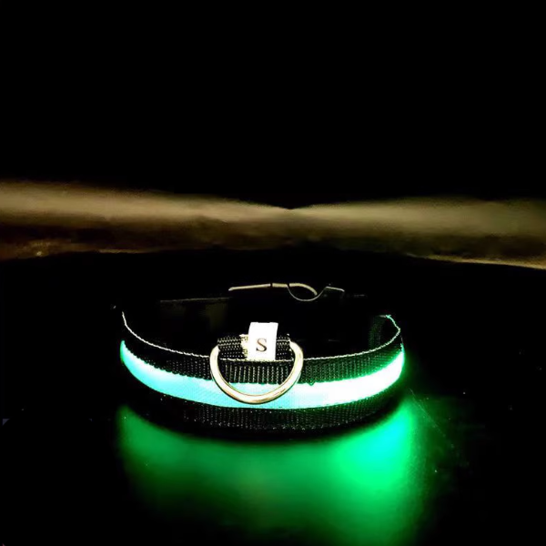 Glowing green dog collar on a dark background