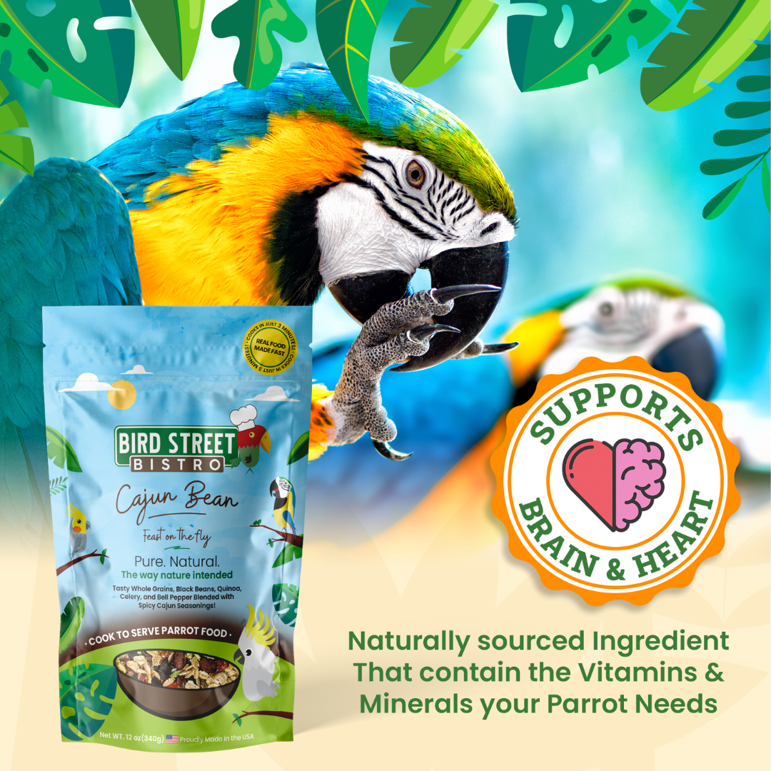 Bird Street Bistro Cajun Bean parrot food package with a parrot and text about brain and heart support.