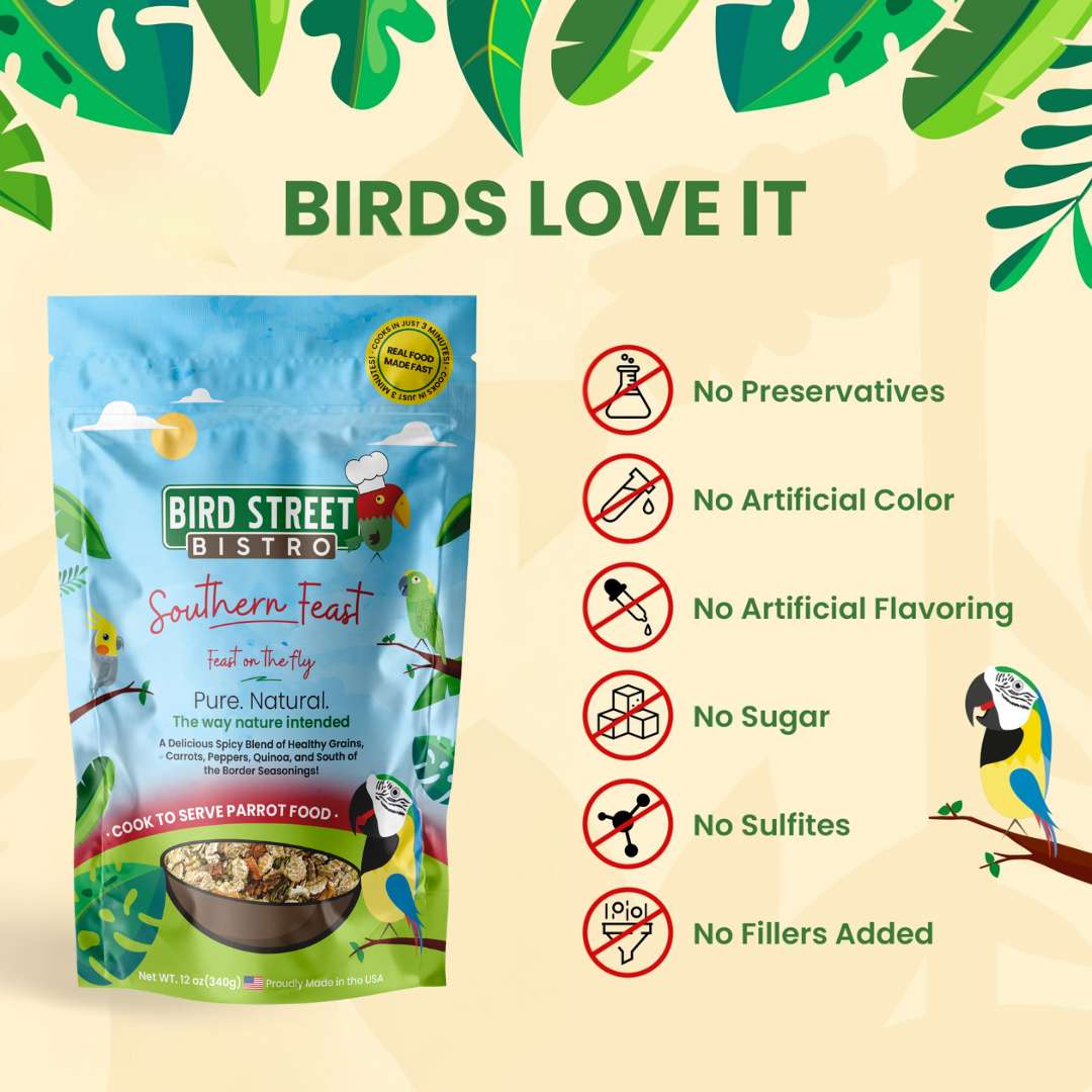 Bird Street Bistro Southern Feast bird food package with leaf decorations and health benefits listed.