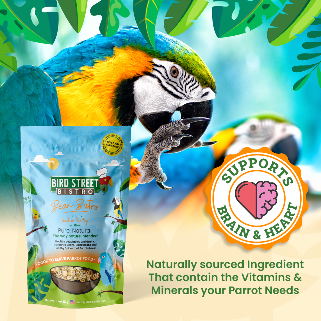 Bird Street Bistro parrot food package with a parrot and text about brain and heart support.