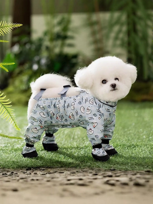 Two small dogs wearing matching pajamas standing on grass with plants in the background