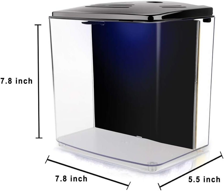 Black and clear container with dimensions labeled on a white background