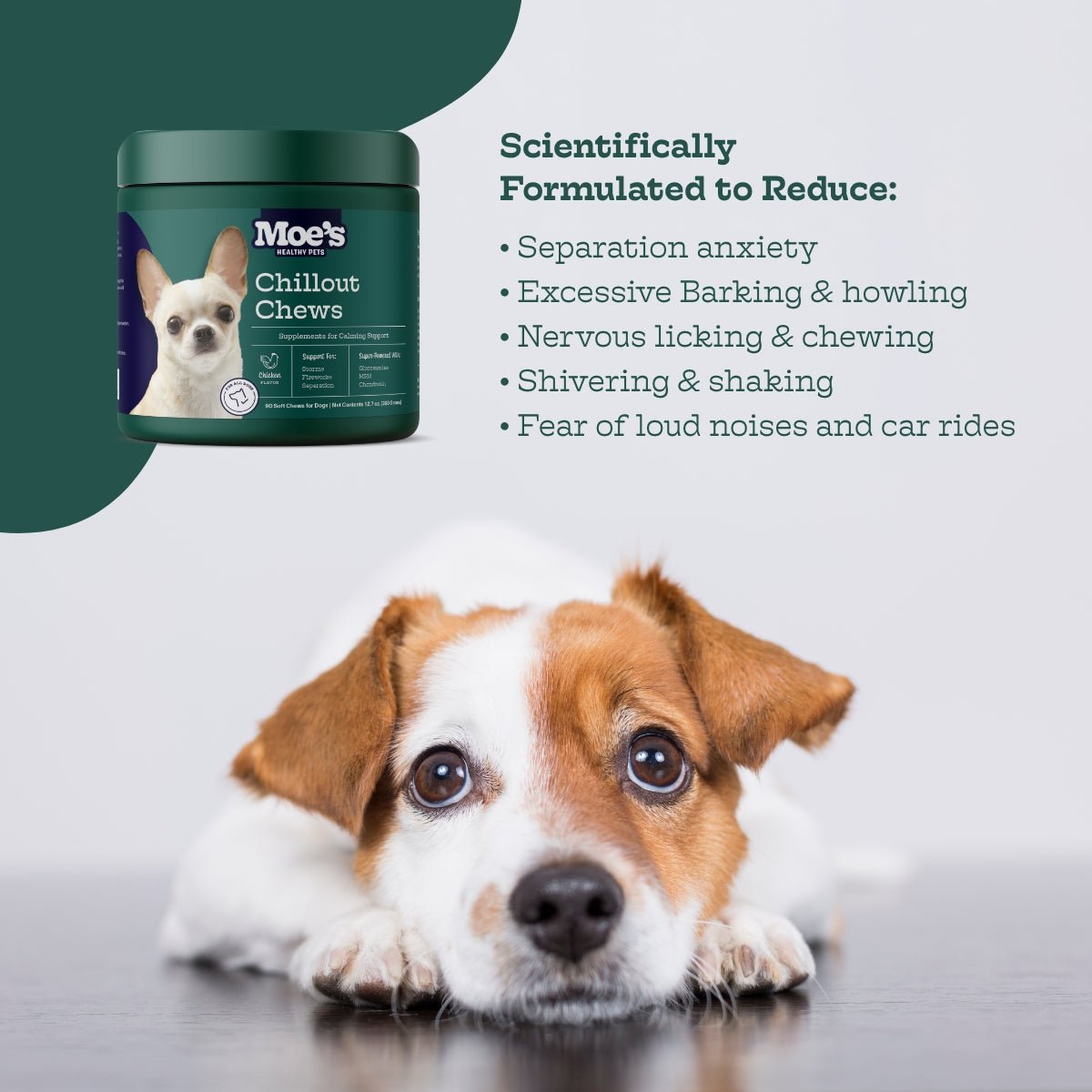 Dog with Moe's Chillout Chews packaging and text about product benefits on a white background