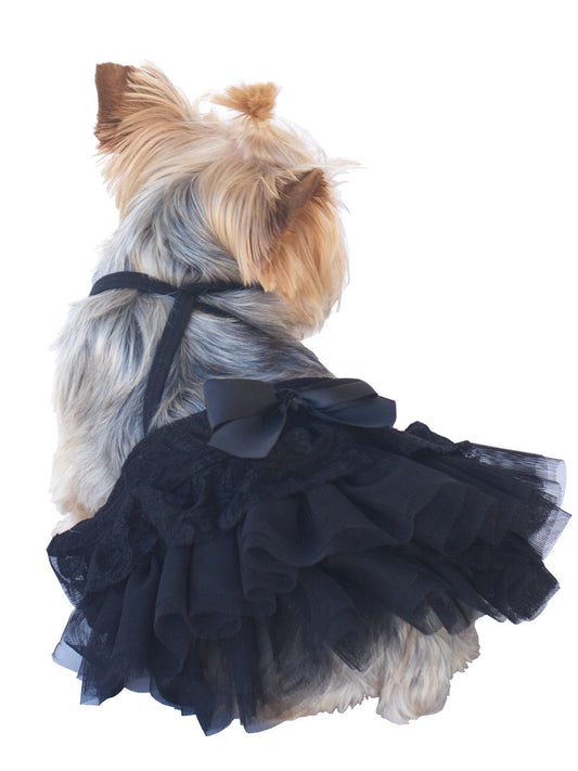 Small dog wearing a black tutu dress on a white background