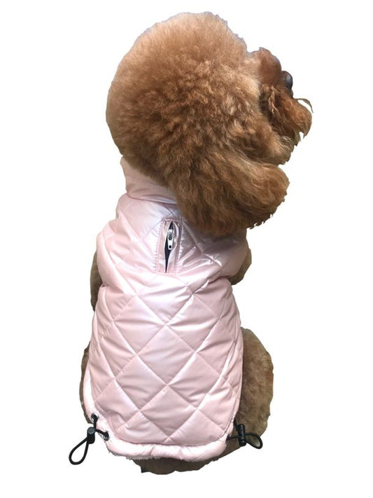 Dog wearing a pink quilted jacket on a white background