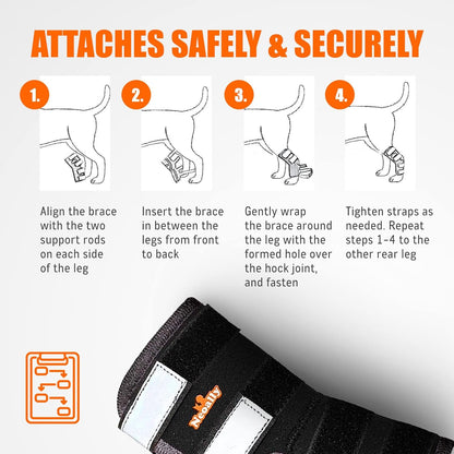 Instructions for safely and securely attaching a dog brace with illustrations and text.