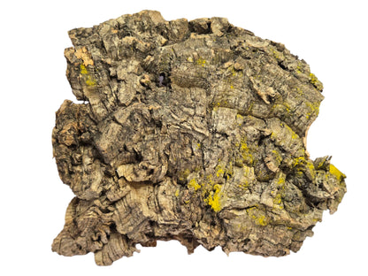 Cork Bark