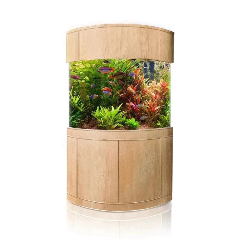 Wooden cylindrical aquarium with fish and plants on a white background
