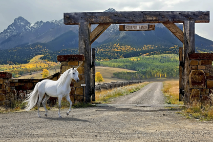 White horse walking on a dirt road with a wooden gate and mountainous landscape in the background