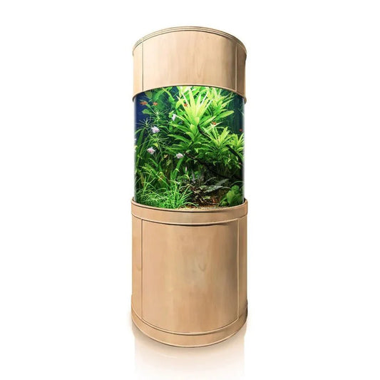 Gold cylindrical aquarium with green plants and fish on a white background