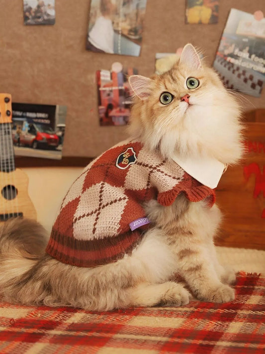Cat wearing a red sweater with a bow tie on a plaid surface, with a guitar and photos in the background.