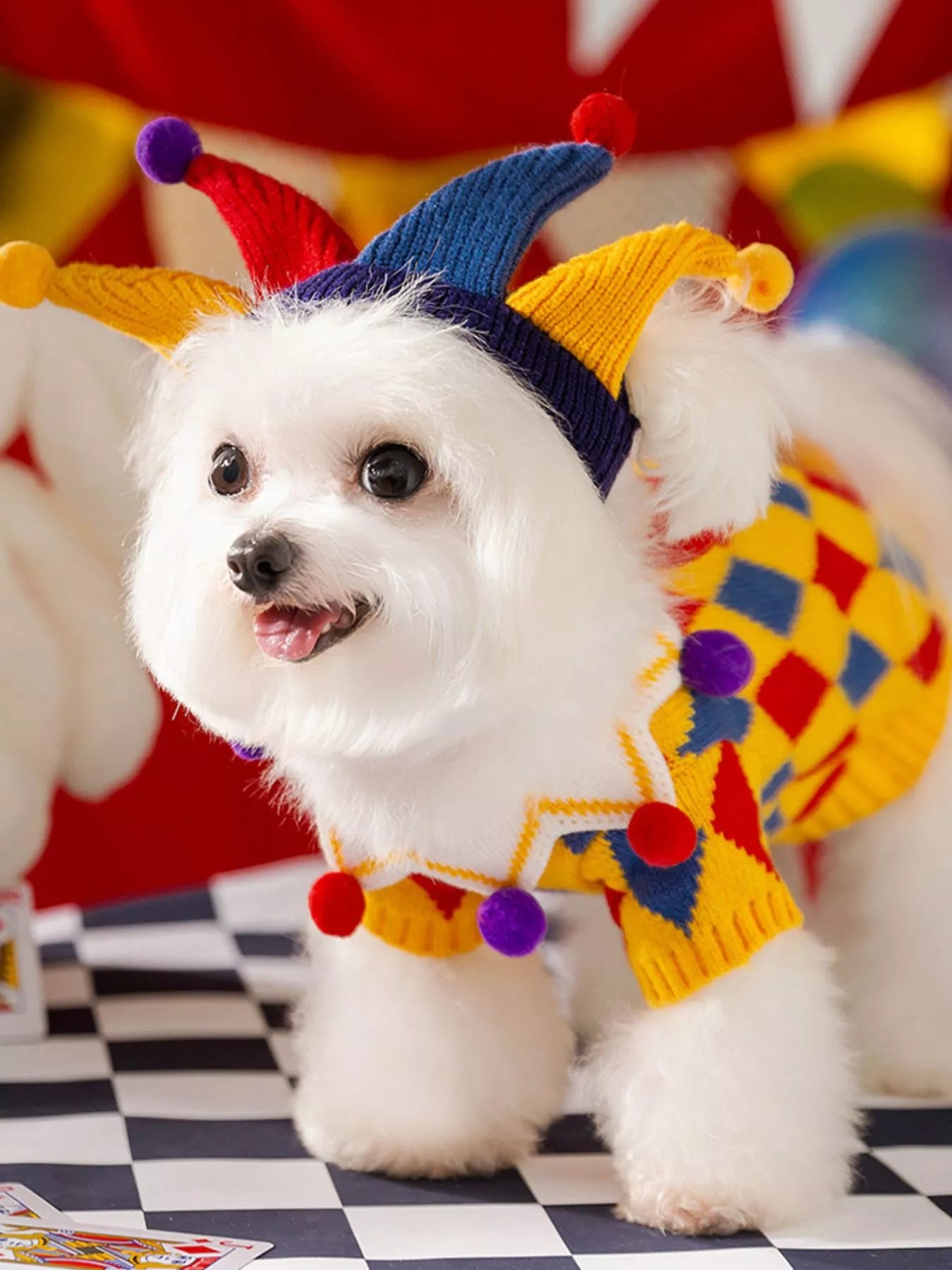 White dog wearing colorful clown costume with checkered floor and balloons in background