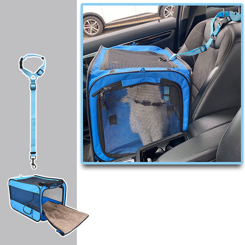 Blue pet carrier with leash attached, shown in a car seat.