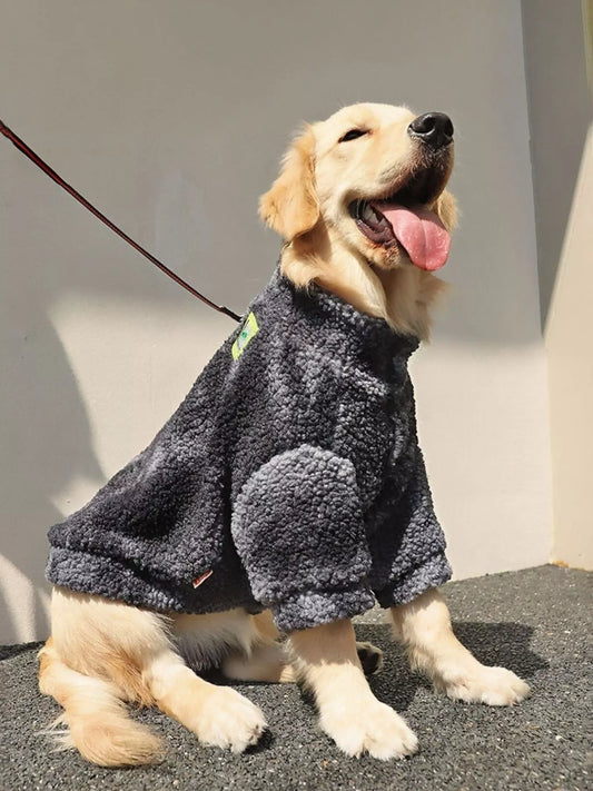 Dog wearing a gray fleece outfit sitting on a carpeted floor.