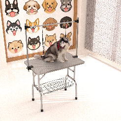 Dog sitting on a grooming table with a wall of dog illustrations in the background