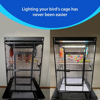 Bird cage with lighting feature on a plain background