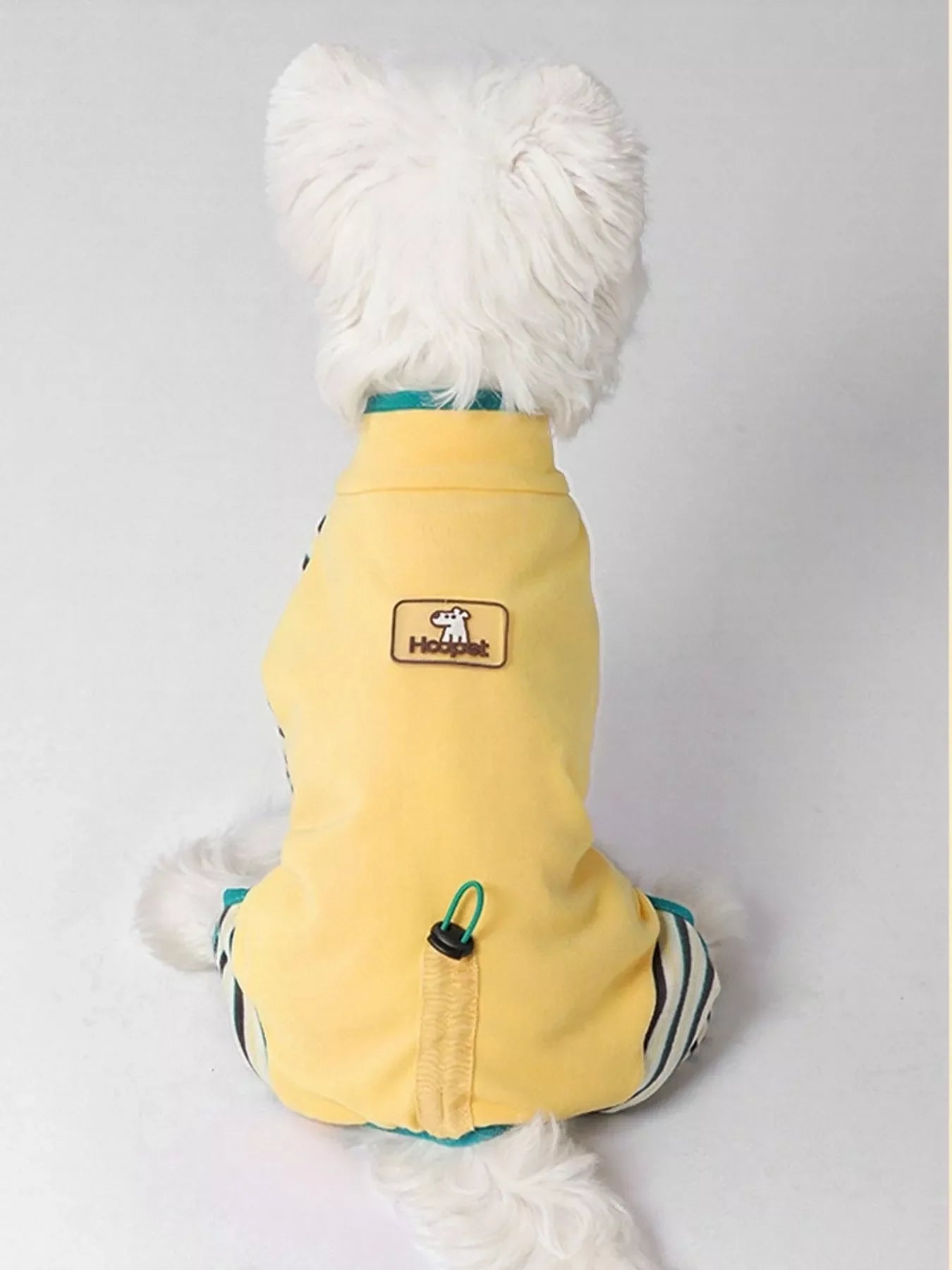 Dog wearing a yellow coat with a brand logo on a light gray background