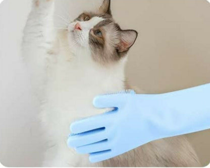 Cat lying on a cushion with a blue grooming glove