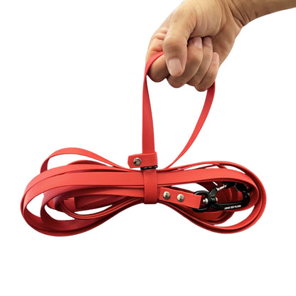 Red dog leash held by a hand on a white background