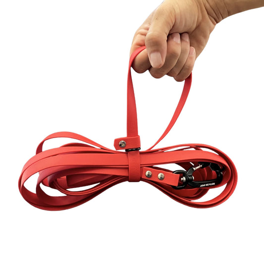 Red dog leash held by a hand on a white background