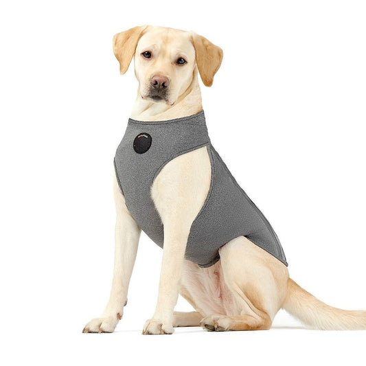 Dog wearing a gray harness on a white background