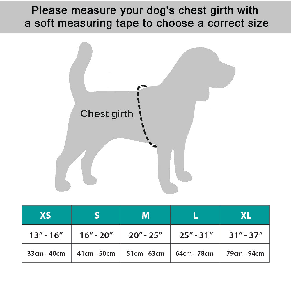 Measurement chart for dog coats with a silhouette of a dog and a chest girth measurement line.