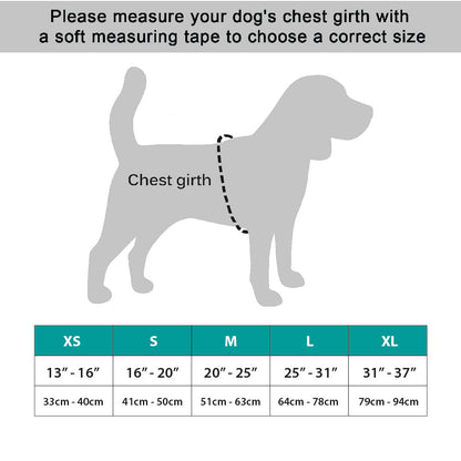 Measurement chart for dog coats with a silhouette of a dog and a chest girth measurement line.