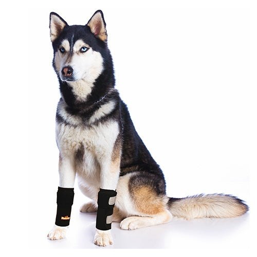 Dog wearing black dog boots on a white background