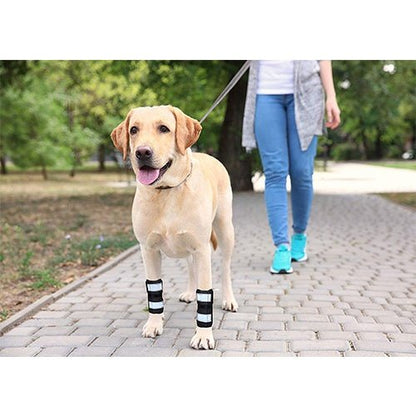 Dog wearing black bandages on front paws walking on a path with a person in the background.