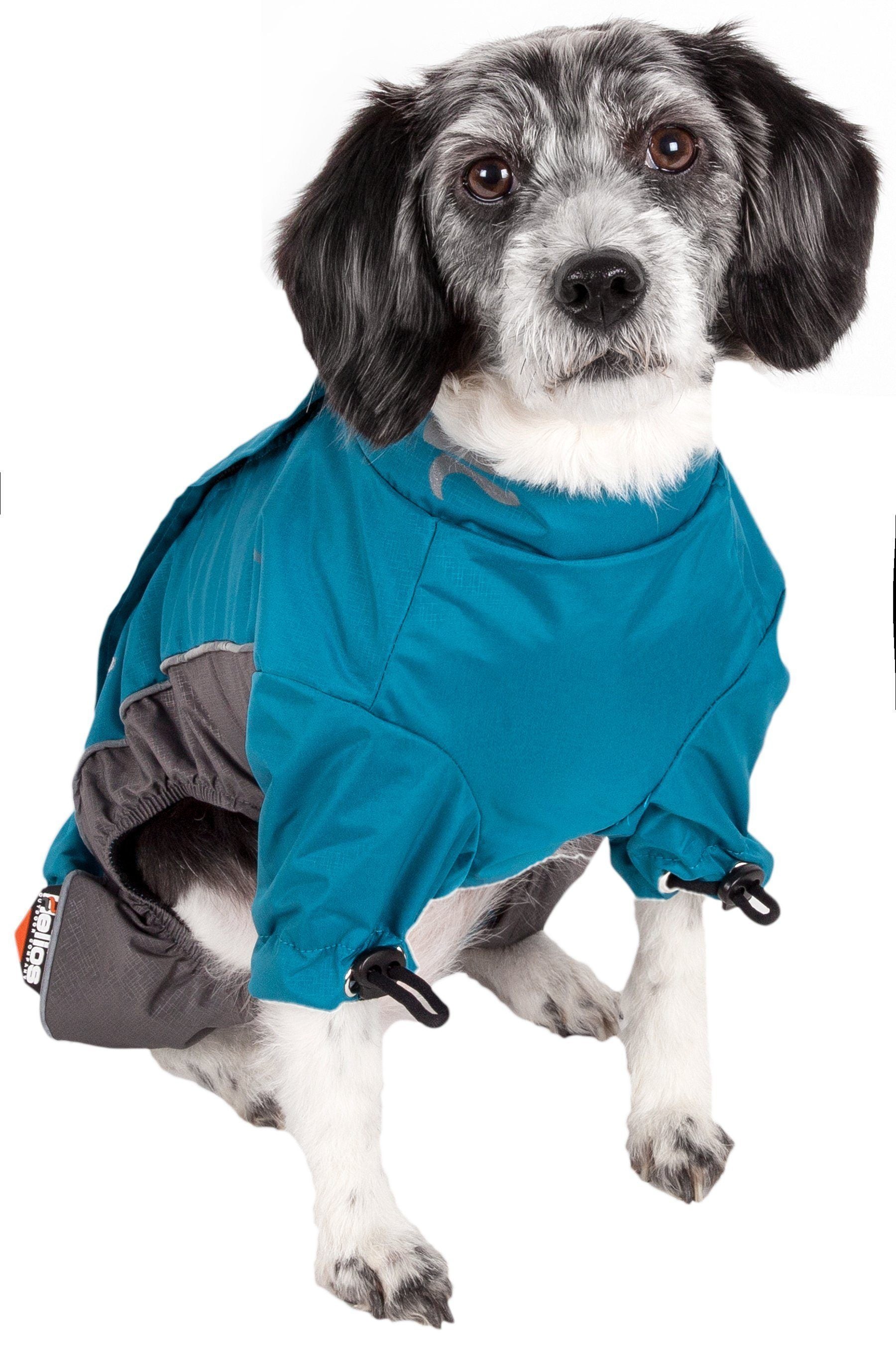 Dog wearing a blue and gray raincoat on a white background
