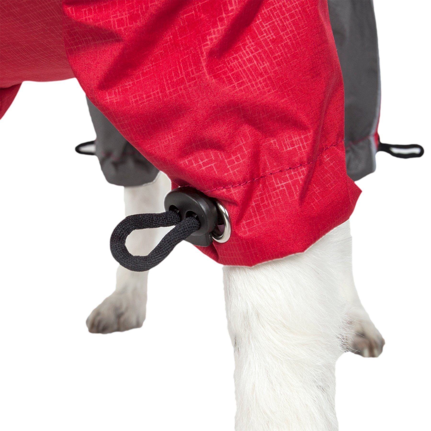 Red raincoat on a dog with a white background