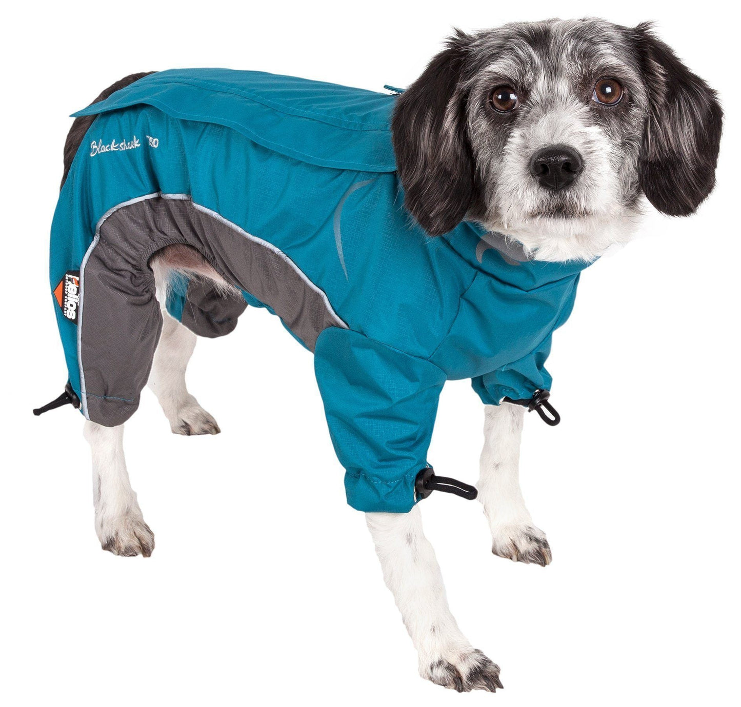 Dog wearing a blue raincoat with gray accents on a white background