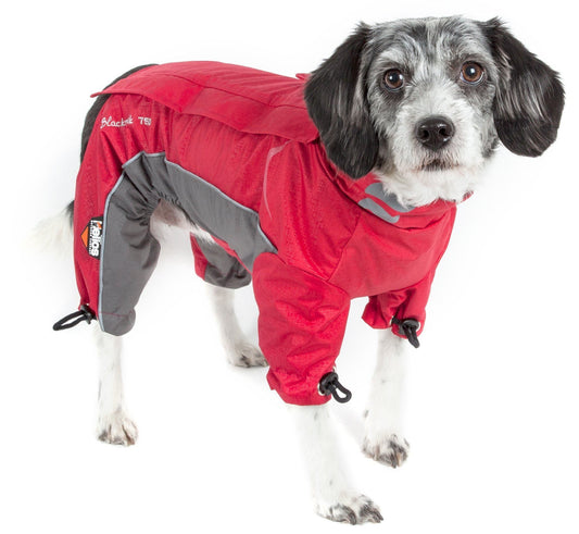 Dog wearing a red raincoat with gray accents on a white background