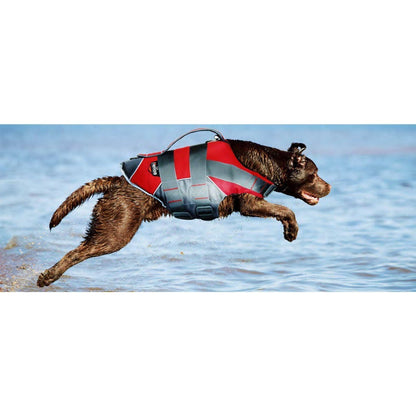 Dog wearing a red and gray life jacket running on a beach.