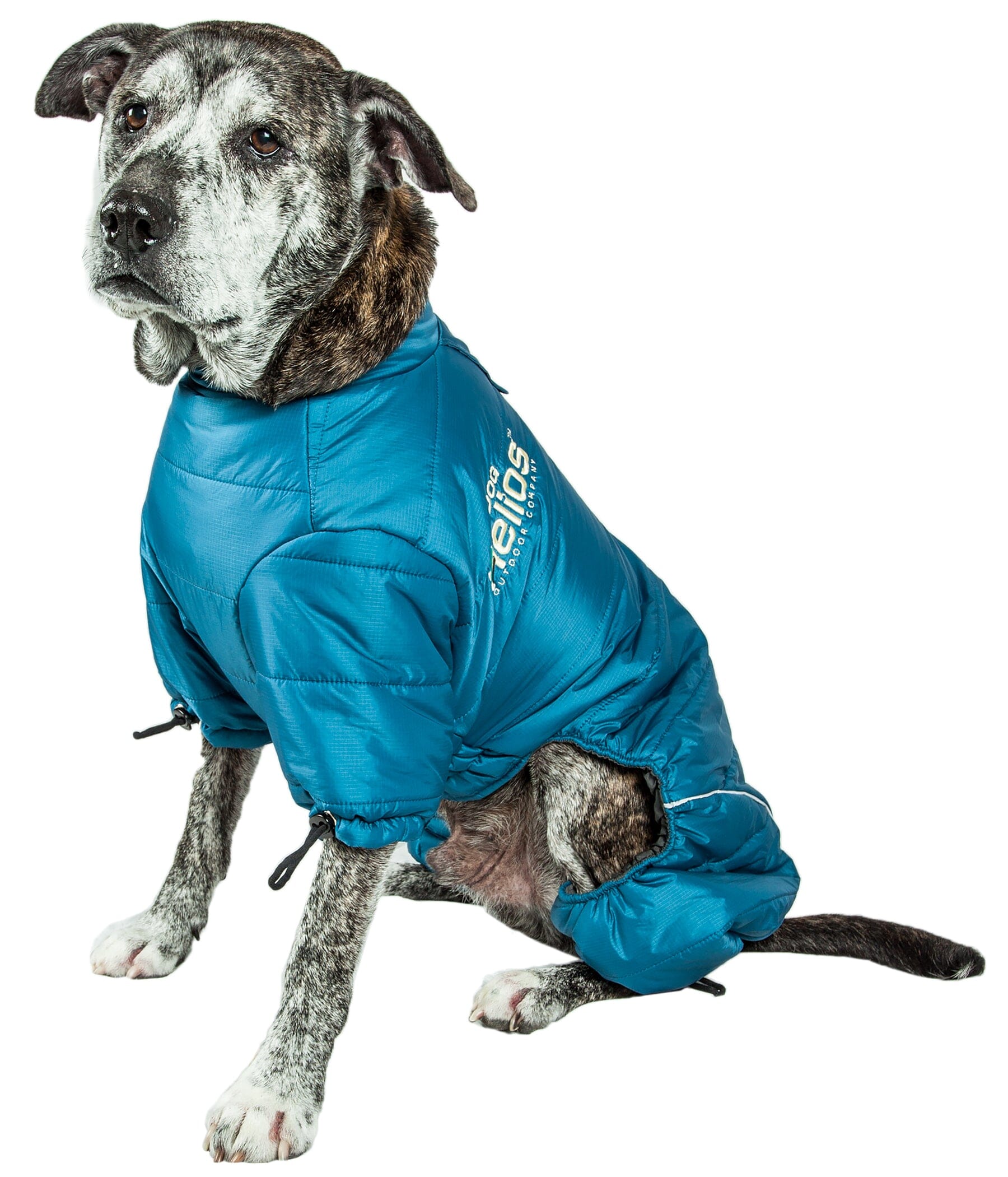 Blue dog coat with 'Helios' branding on a white background