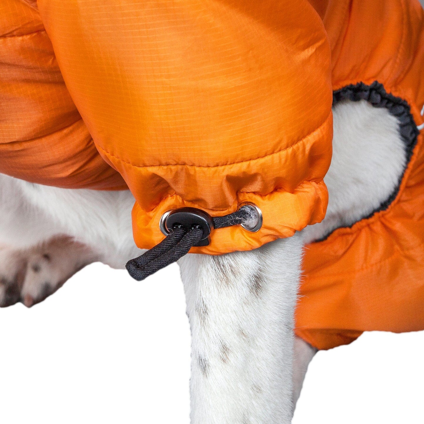 Orange dog coat with 'Helios' branding on a white background