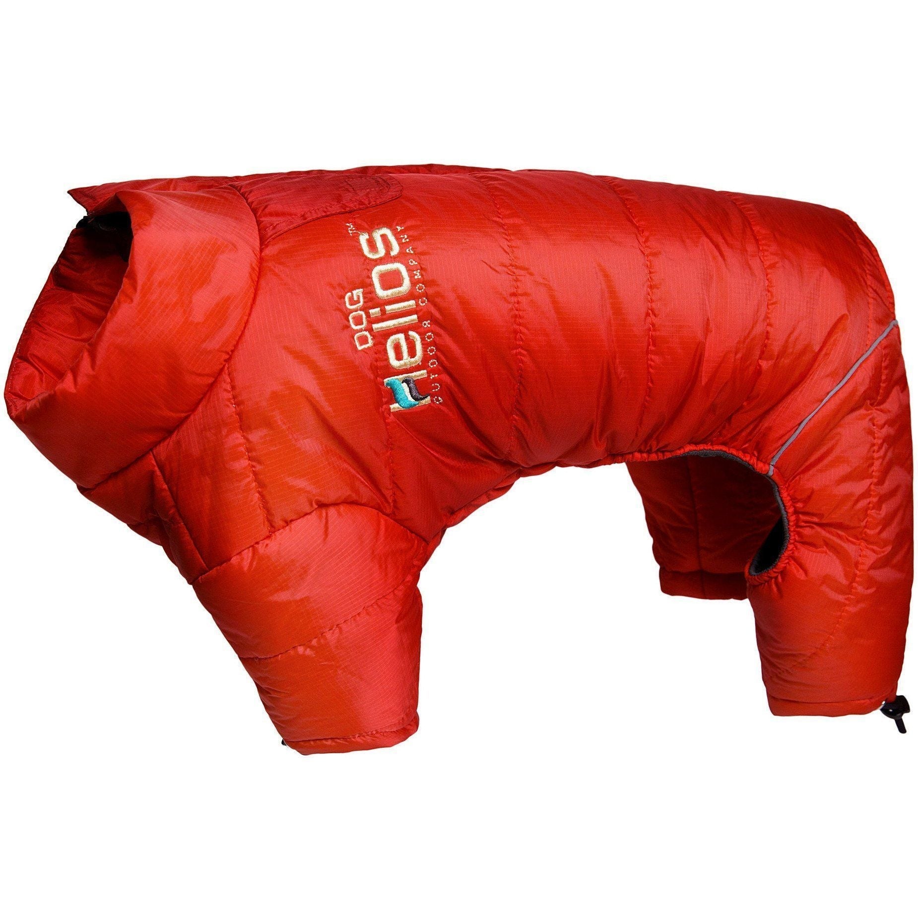 Red dog coat on a white background