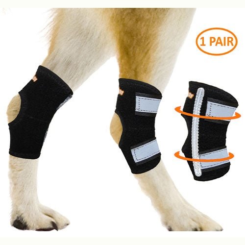 Dog knee pads on a dog's legs with an inset showing the product detail.