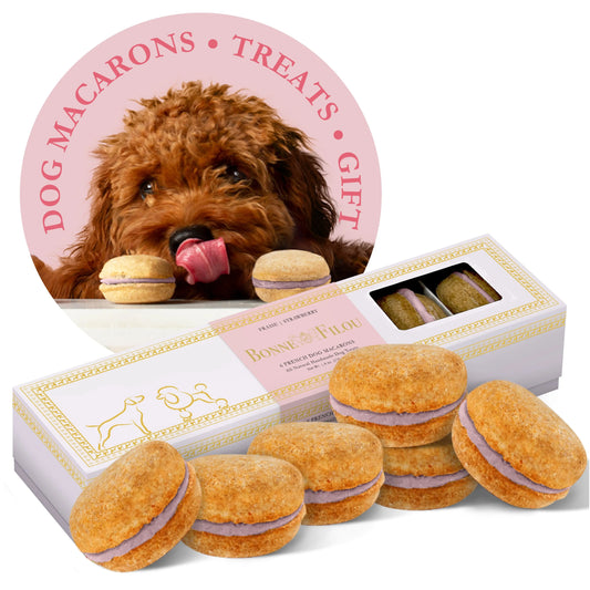 Dog Macarons (Box of 6) - Image 1